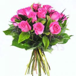 12 Pink Roses - India Delivery Only