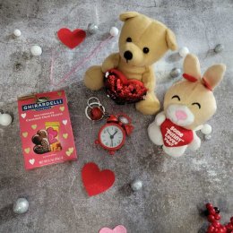 Cute Teddy Gifts - USA Direct