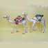 Camel Set