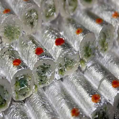 Kaju Rolls 500 gms
