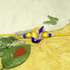 Angelic Rakhi - USA Delivery Only