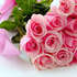 12 Pink Roses - India Delivery Only