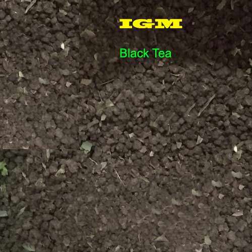 Darjeeling Black Tea - 1 kg