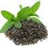 Darjeeling Green Tea Leaf - 400 gms
