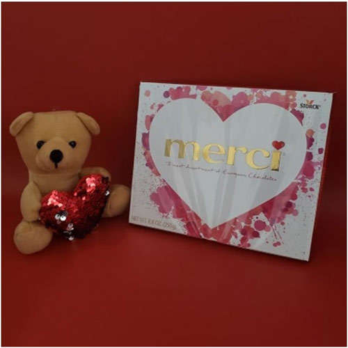 Teddy with European Chocolate - Canada Direct