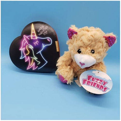 Lovable Teddy with Chocolate - Canada Direct