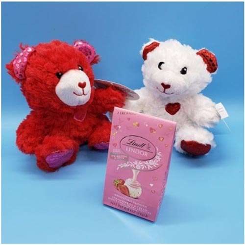 Lovely Teddy Combo with Lindt - Canada Direct