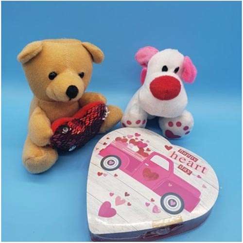 Charming Teddy Combo with Chocolate - Canada Direct