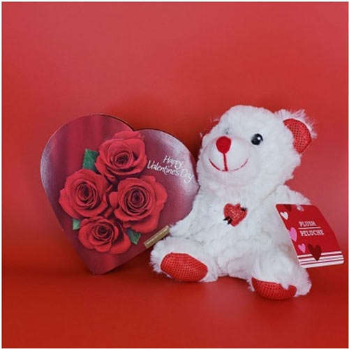 Enchanting teddy with Chocolate - Canada Direct