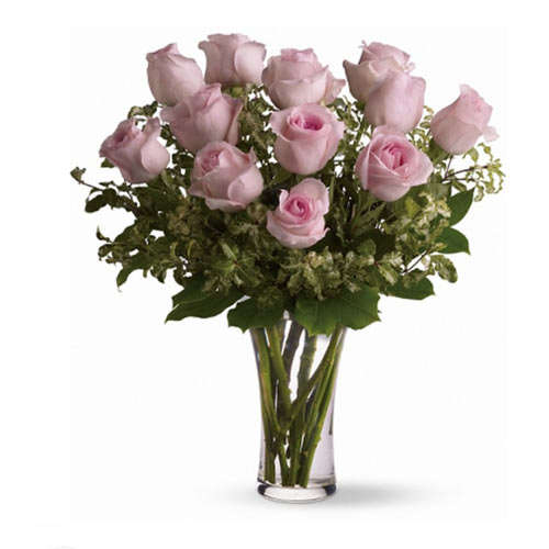 12 Long Stemmed Pink Roses - Canada Direct