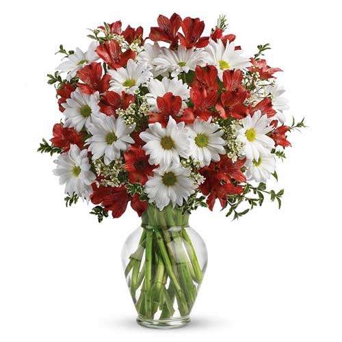 Dancing in Daisies - Canada Direct