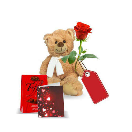 Teddy Rose with Truffles & Card - Canada Direct