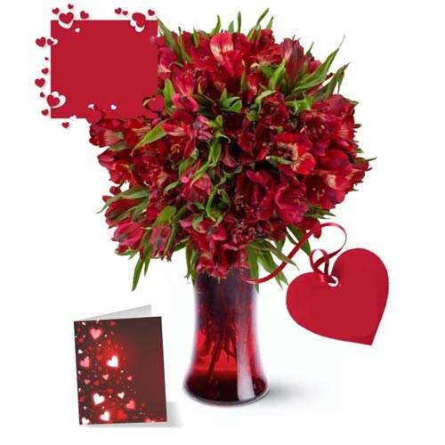 50 Blooms of Valentine Alstroemeria - Canada Direct