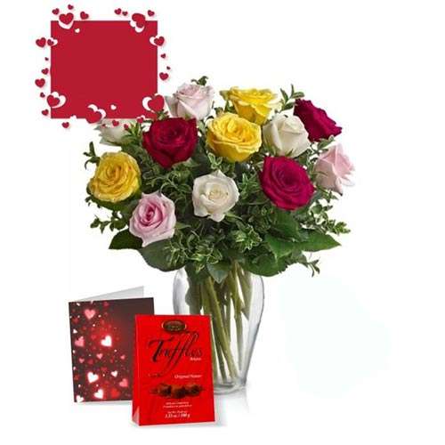 One Dozen Assorted Rose Combo - Canada Direct