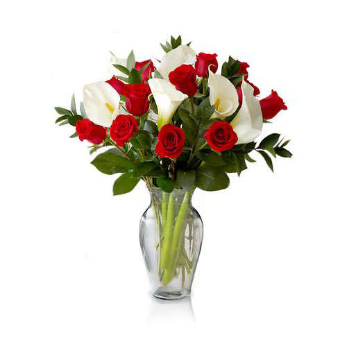 Endless Love - Canada Direct
