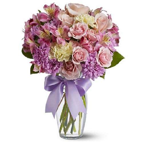 Splendid Spring - Canada Direct
