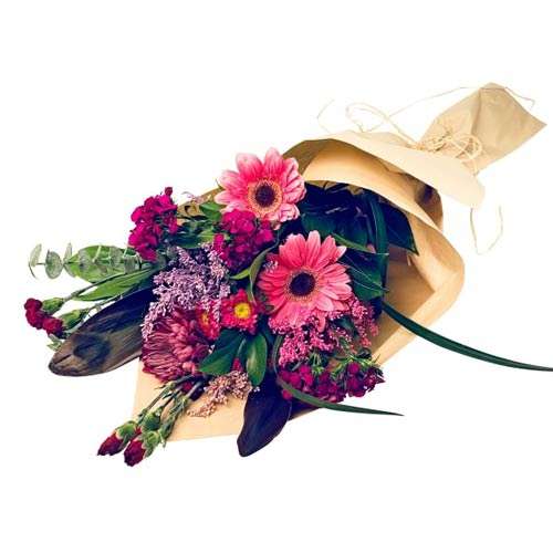 Bunches Purply Pink Collection - Canada Direct