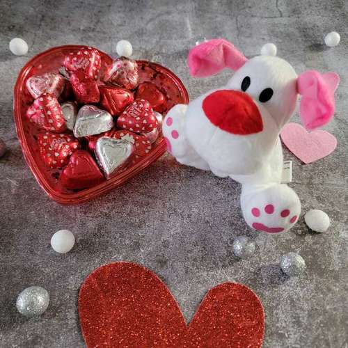 Heartly Plush Combo - USA Direct