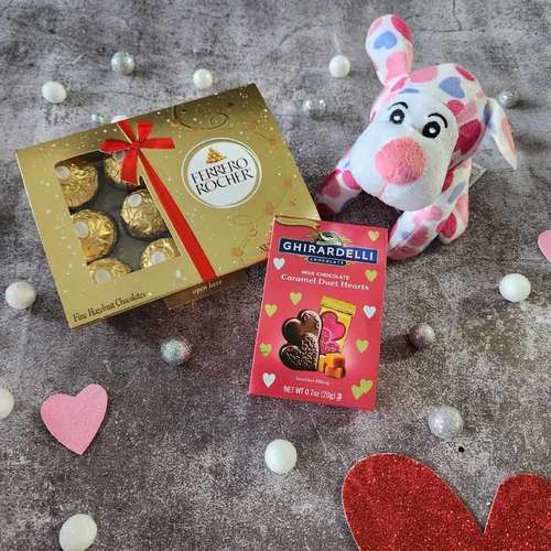 Cute Plush N Chocolates - USA Direct