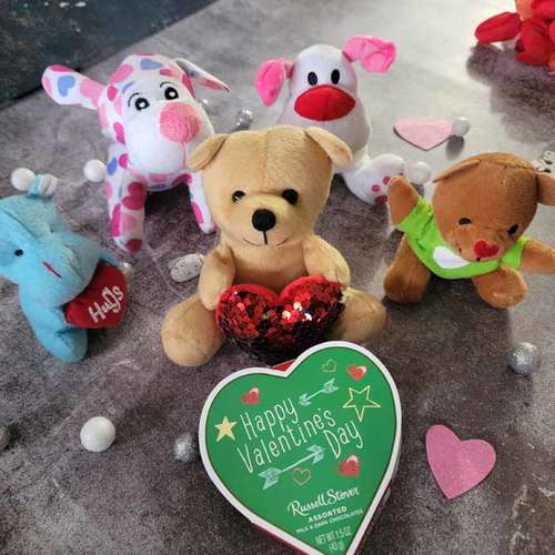 Teddies Delight - USA Direct