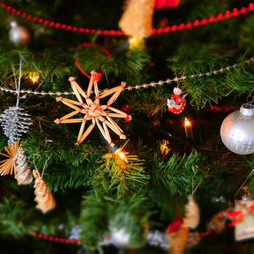 Christmas Celebration