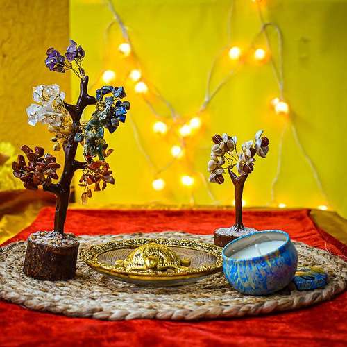 Healing Tree Gomti Chakra Tree Turtle Thali- USA Delivery Direct