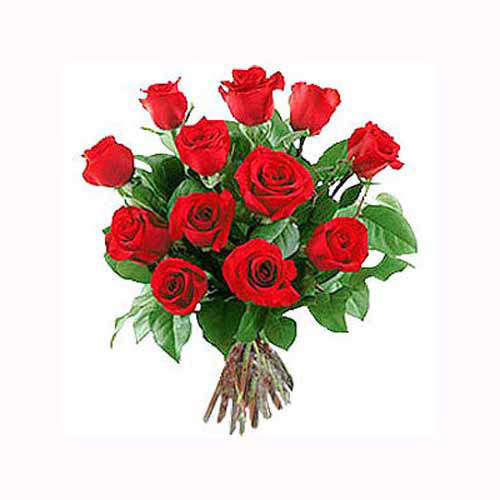 12 Red Long Stem Roses