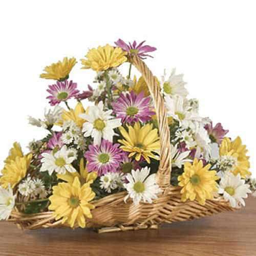 Lovely Daisies Basket - Bulgaria Delivery Only