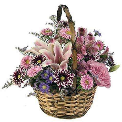 Pink Infusion - Bulgaria Delivery Only