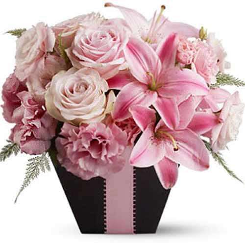 Pink Blush - Taiwan Delivery Only