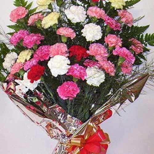 Carnation Carnival - Austria Delivery Only