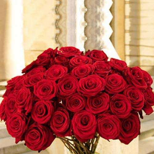 50 Red Roses - Argentina Delivery Only