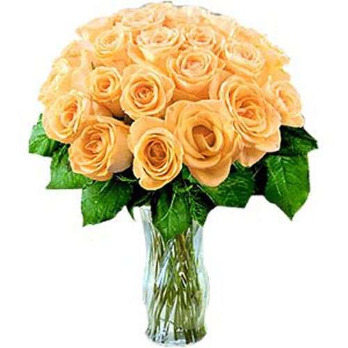 24 Peach Roses - Armenia Delivery Only