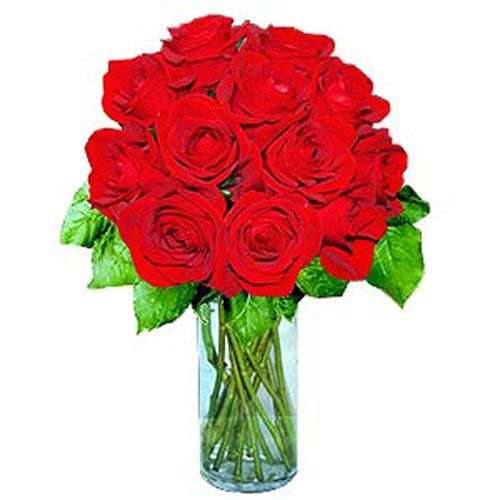 12 Short Stem Red Roses - Azerbaijan Delivery Only