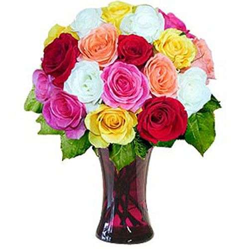 18 Mixed Long Stem Roses - Azerbaijan Delivery Only