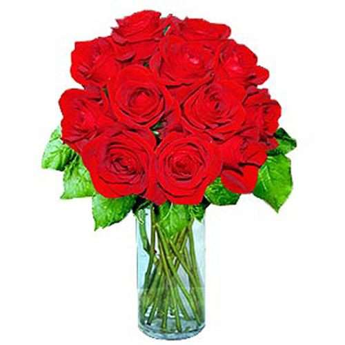 12 Short Stem Red Roses - Brazil Delivery Only