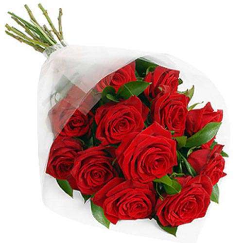 12 Red Roses Gift Wrap