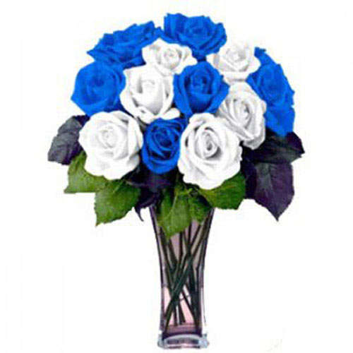 12 White and Blue Roses - Croatia Delivery Only
