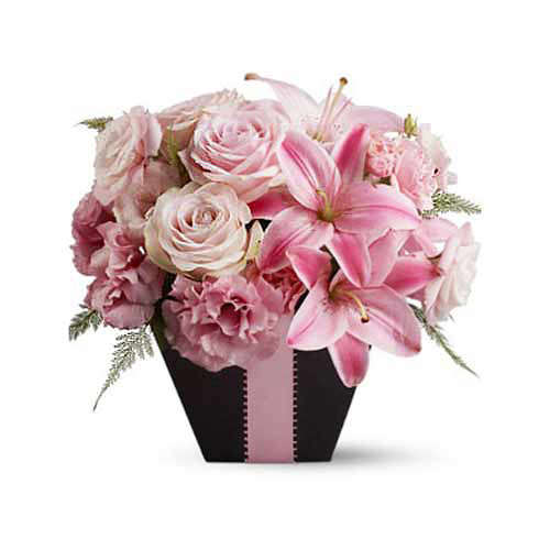Pink Blush - Macau Delivery Only