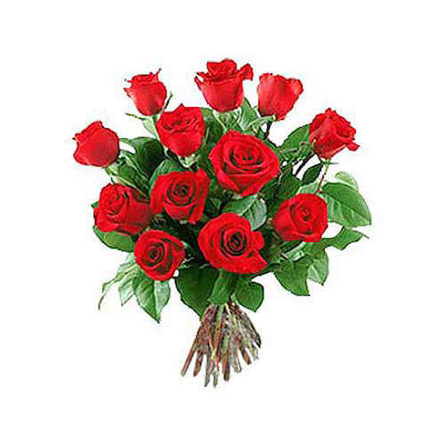 12 Long Stem Roses - Oman Delivery Only