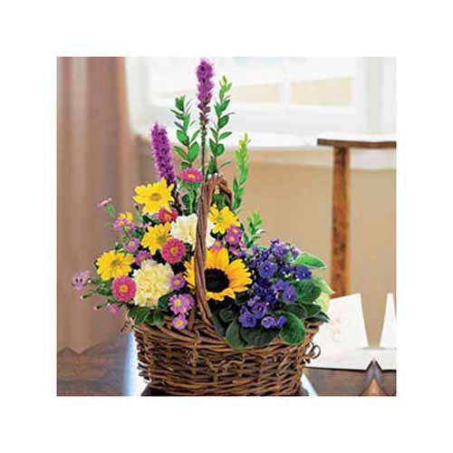 Planted Basket - Peru Delivery Only