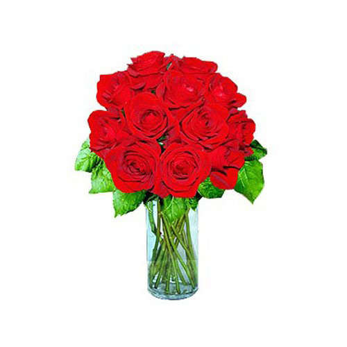 12 Short Stem Red Roses- Tajikistan Delivery Only