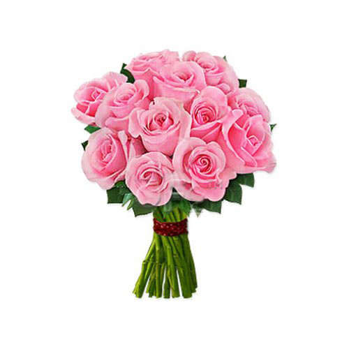 One Dozen Pink Roses - Syria Delivery Only