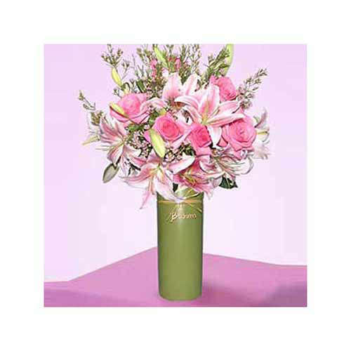 Pink Profusion - Russia Delivery Only